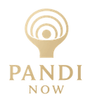 Pandi Now Logo