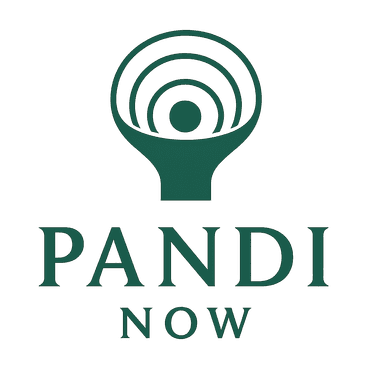 Pandi Now Logo